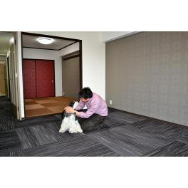 浜松市中区のS様邸 ワンちゃん中心のマンション購入に伴うマンションリフォームの施工事例